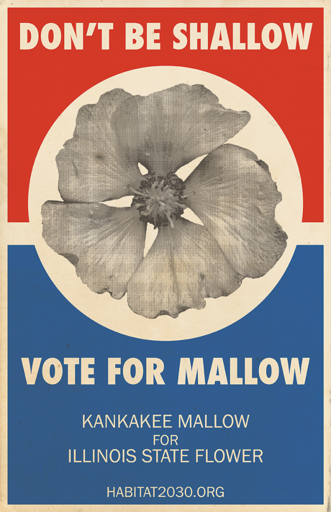 Don't be shallow, vote for mallow!