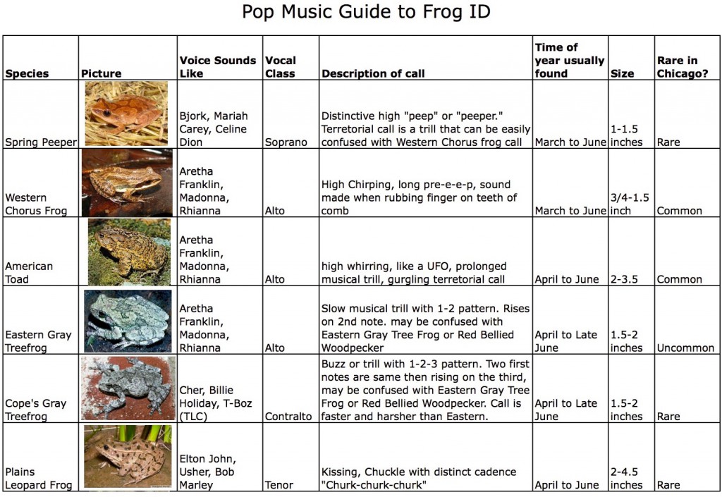 Pop music guide to frogs page 1
