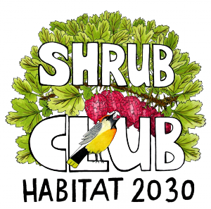 Shrub Club