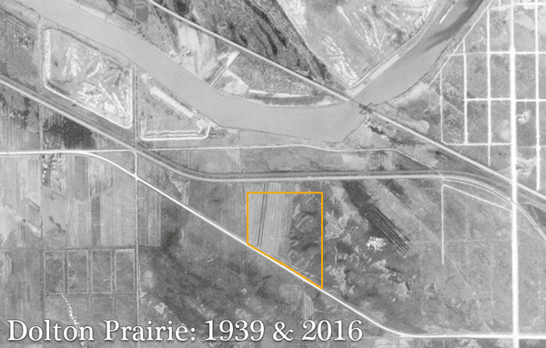 Habitat loss surrounding Dolton Prairie between 1939 and 2016